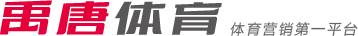 正式发布